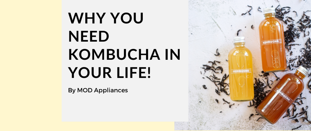 Why You Need Kombucha in Your Life!